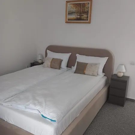 Pensionat Florin's 3*