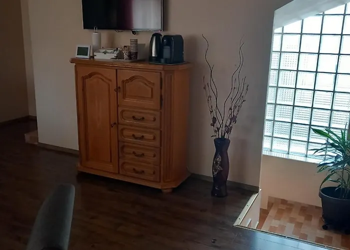 Florin's Pensiune 3*