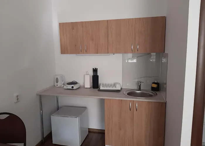 Florin's Pensión 3*